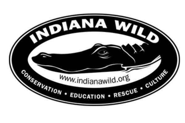 Indiana Wild logo